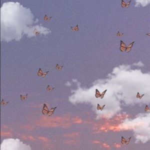 Meet your Posher, Audrey daria